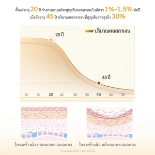 BIOVOZ 3000Mg Collagen Peptides, วิตามินซีผง คอลลาเจน ช่วยลดริ้วรอย ซึมซับง่าย ผิวกระจ่างใส เต่งตึง ดูอ่อนเยาว์ 1 กล่อง 10 ซอง