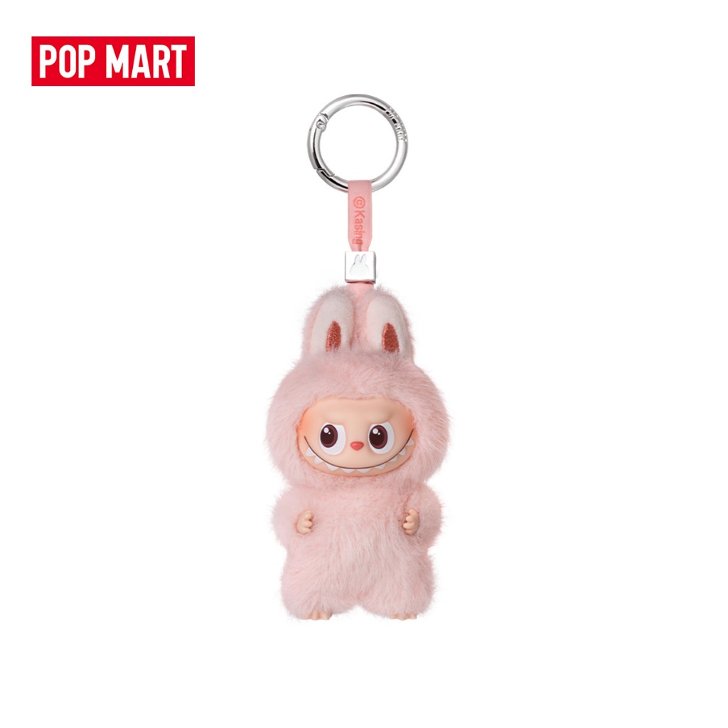 รูปภาพ 5