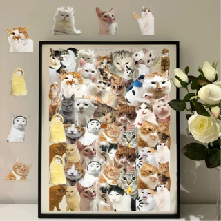 ตลก 50pcs Hakimi meme Cat สติกเกอร์โปร่งใสกันน้ําสําหรับ Tumbler แล็ปท็อปเคสโทรศัพท์รถสติกเกอร์ Graffiti Creative DIY