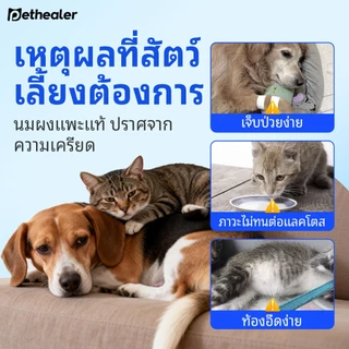 Pethealer นมแพะสัตว์เลี้ยง สำหรับแมวและสุนัข ย่อยง่าย ชงง่าย เสริมภูมิคุ้มกัน 30 ซอง 10g พร้อมส่งในไทย