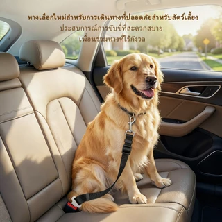 เครื่องมือยึดด้านหลังรถยนต์ | ร้านค้าร้อน-ขาย