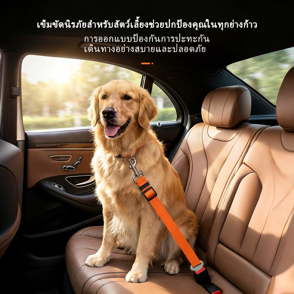 เครื่องมือยึดด้านหลังรถยนต์ | ร้านค้าร้อน-ขาย