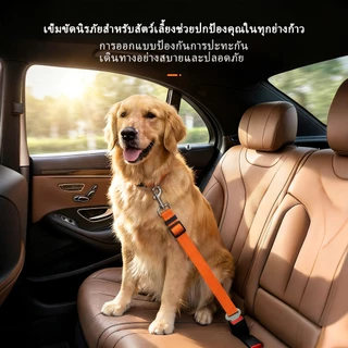 เครื่องมือยึดด้านหลังรถยนต์ | ร้านค้าร้อน-ขาย