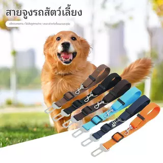 เครื่องมือยึดด้านหลังรถยนต์ | ร้านค้าร้อน-ขาย