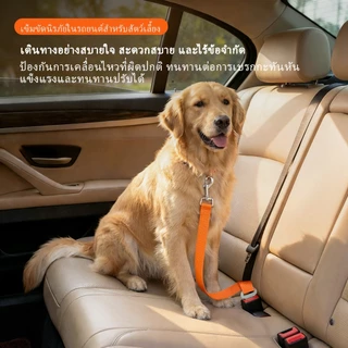 เครื่องมือยึดด้านหลังรถยนต์ | ร้านค้าร้อน-ขาย