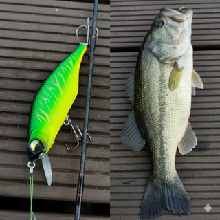 HENGJIA เลเซอร์เหยื่อตกปลา 92 มม./11.9g ลอย Minnow Crankbait…