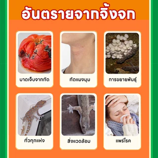 หมดปัญหาจิ้งจกในบ้าน FY ไล่จิ้งจก ยาฆ่าจิ้งจก ยาไล่ 32 ชิ้น/กล่อง ชุดสุดคุ้ม ทำให้บ้านไม่มีอีกต่อไป ของใช้จำเป็นในบ้าน