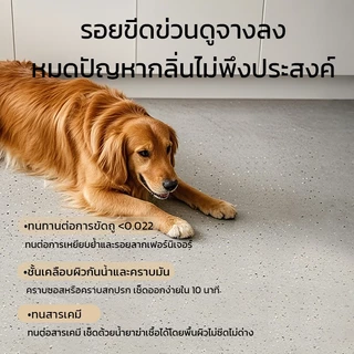 Sanqing Paint สีพื้นอีพ็อกซี่ Epoxy Quartz Sand สีทาพื้นปูนทราย กันลื่น กันน้ำ ทนทาน สำหรับพื้นบ้าน โรงรถ โรงงาน