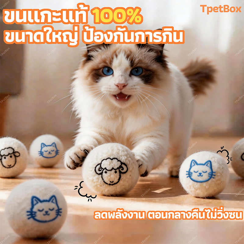 พร้อมส่ง! ลูกบอลขนแกะแท้ ของเล่นแมวระบบเงียบไม่มีเสียง แมวเล่นเองได้ ทนทานต่อการกัด ลูกบอลแข็งแรงไม่ยุบ ของเล่นเสริมพัฒนาการ นุ่ม ปลอดภัย
