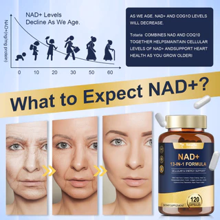Totaria NAD อาหารเสริมพร้อมนิโคตินาไมด์ Riposide resveratrol,Quercetin, Betaine Boost NAD+ ระดับ NAD Plus อาหารเสริมต่อต้านวัย, พลังงาน, ภูมิคุ้มกัน, โฟกัส, วีแกน