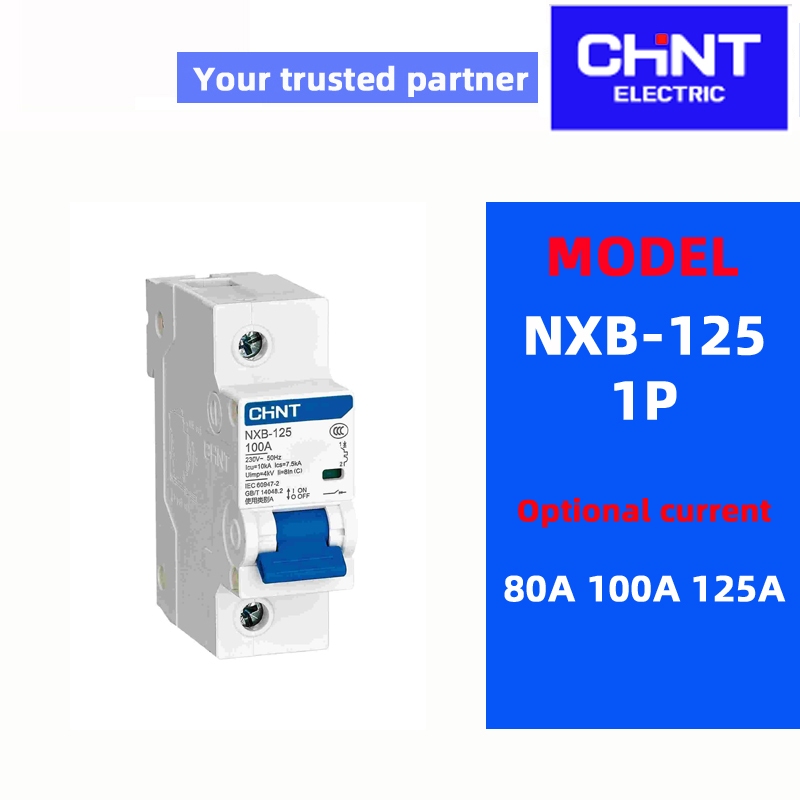 CHINT NXB-125 1P 2P 3P 4P C 80A 100A 125A Miniature Circuit Breaker Type C MCB