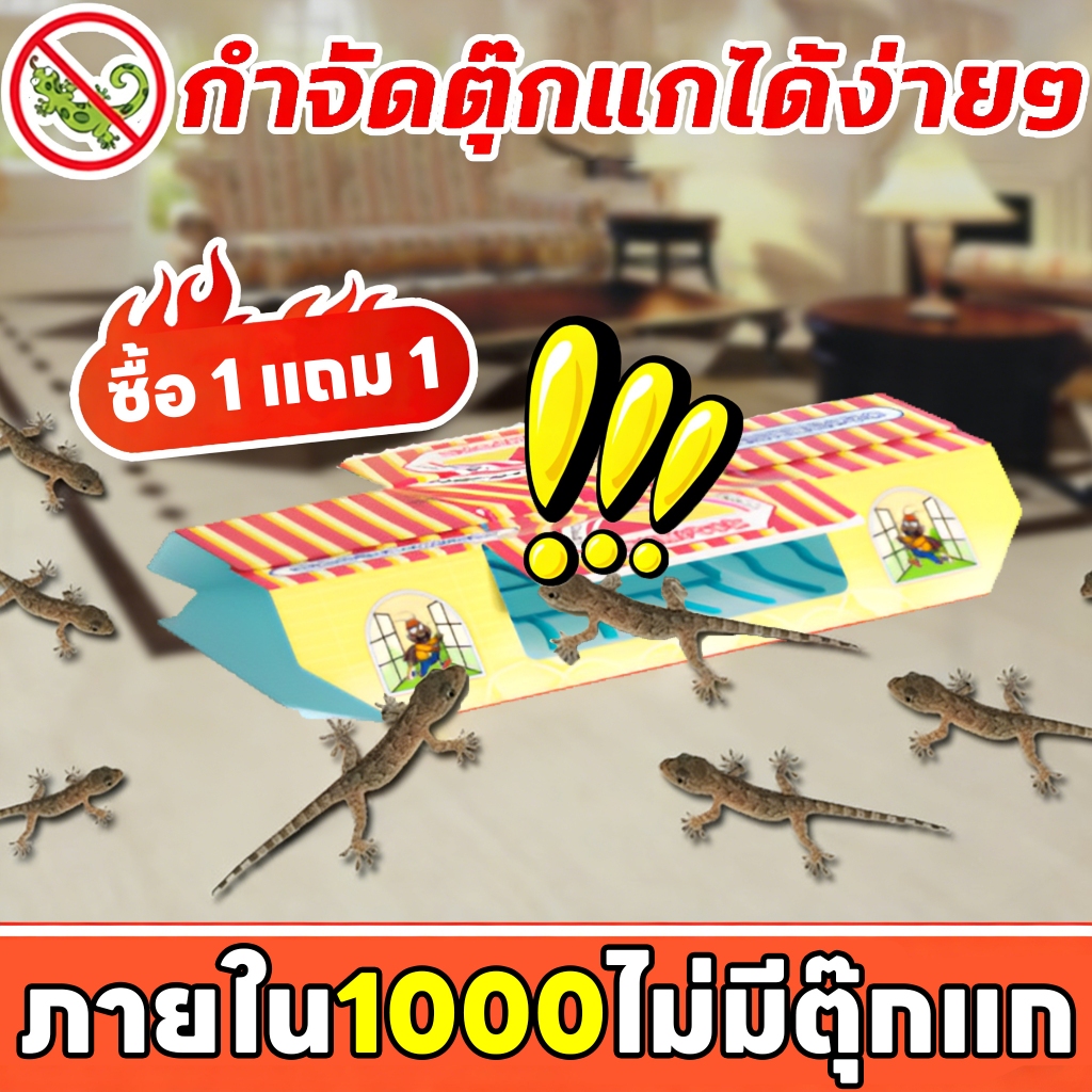 🦎ติดตุ๊กแกได้ง่าย🦎 กําจัดจิ้งจก ดักจิ้งจก บ้านจิ้งจก การจับตุ๊กแกทางกายภาพ ปลอดภัยยิ่งขึ้น ไม่มีสารเคมี ไร้กังวล