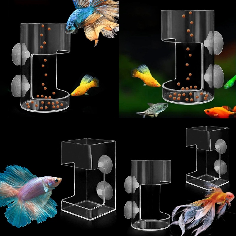 GJCUTE Fish Feeder สําหรับ Aquarium 2025 ใหม่ถังปลาจานถาดดูดถ้วยอะคริลิคปลา Feeding Tube ผู้ถืออาหาร