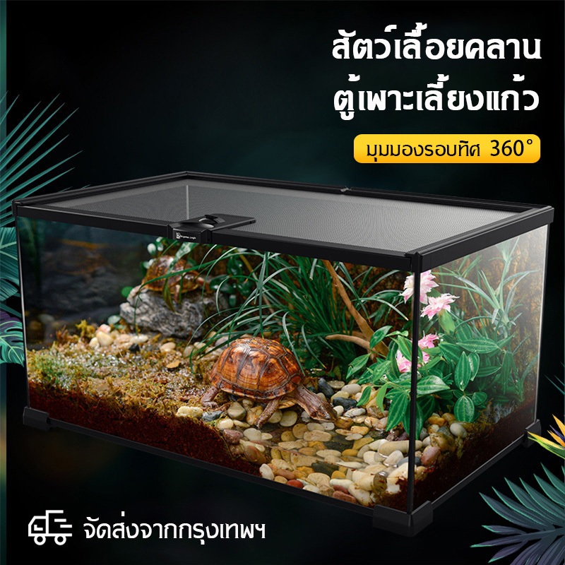 สวนขวดสัตว์เลื้อยคลาน วัสดุกระจกมองเห็นได้ชัดเจน กล่องผสมพันธุ์ ระดับเริ่มต้น เหมาะสำหรับสัตว์เลื้อยคลานขนาดเล็ก