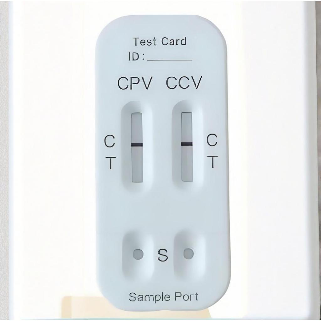 ที่ตรวจไข้หัดลำไส้และโคโรน่าในสุนัข 2-in-1 Rapid Test Kit 20 ชิ้น CPV Ag+CCV Ag ชุดตรวจเชื้อในอุจจาร
