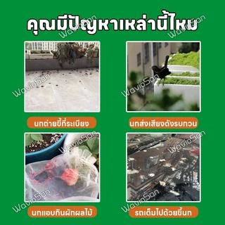 ✨นกได้กลิ่นแล้วบินหนีไป✨ที่ไล่นก ก้อนไล่นก ไล่นกพิราบ ยา ได้ง่าย ทำจากสารสกัดธรรมชาติ ไม่เป็นอันตราย