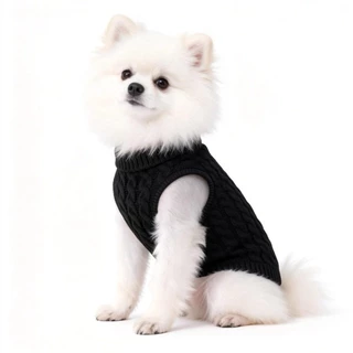 Chic Cozy เสื้อกันหนาวสัตว์เลี้ยงถักขี้เล่นสีลูกกวาดฤดูใบไม้ร่วงฤดูหนาวเสื้อผ้าที่อบอุ่นสําหรับสุนัขขนาดกลางขนาดเล็กแมว