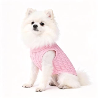 Chic Cozy เสื้อกันหนาวสัตว์เลี้ยงถักขี้เล่นสีลูกกวาดฤดูใบไม้ร่วงฤดูหนาวเสื้อผ้าที่อบอุ่นสําหรับสุนัขขนาดกลางขนาดเล็กแมว