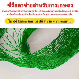 ตาข่ายไนลอนสีเขียว เลี้ยงไก่/กั้นสัตว์ แข็งแรง ตาถี่ 3 ซม. สูง 1.8 ม. ยาว 100 ม. ตาข่ายล้อมไก่ กันนก(plus)ตาข่ายพลาสติก
