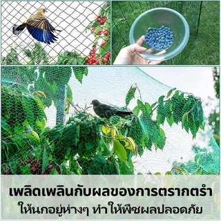ตาข่ายไนลอนสีเขียว เลี้ยงไก่/กั้นสัตว์ แข็งแรง ตาถี่ 3 ซม. สูง 1.8 ม. ยาว 100 ม. ตาข่ายล้อมไก่ กันนก(plus)ตาข่ายพลาสติก