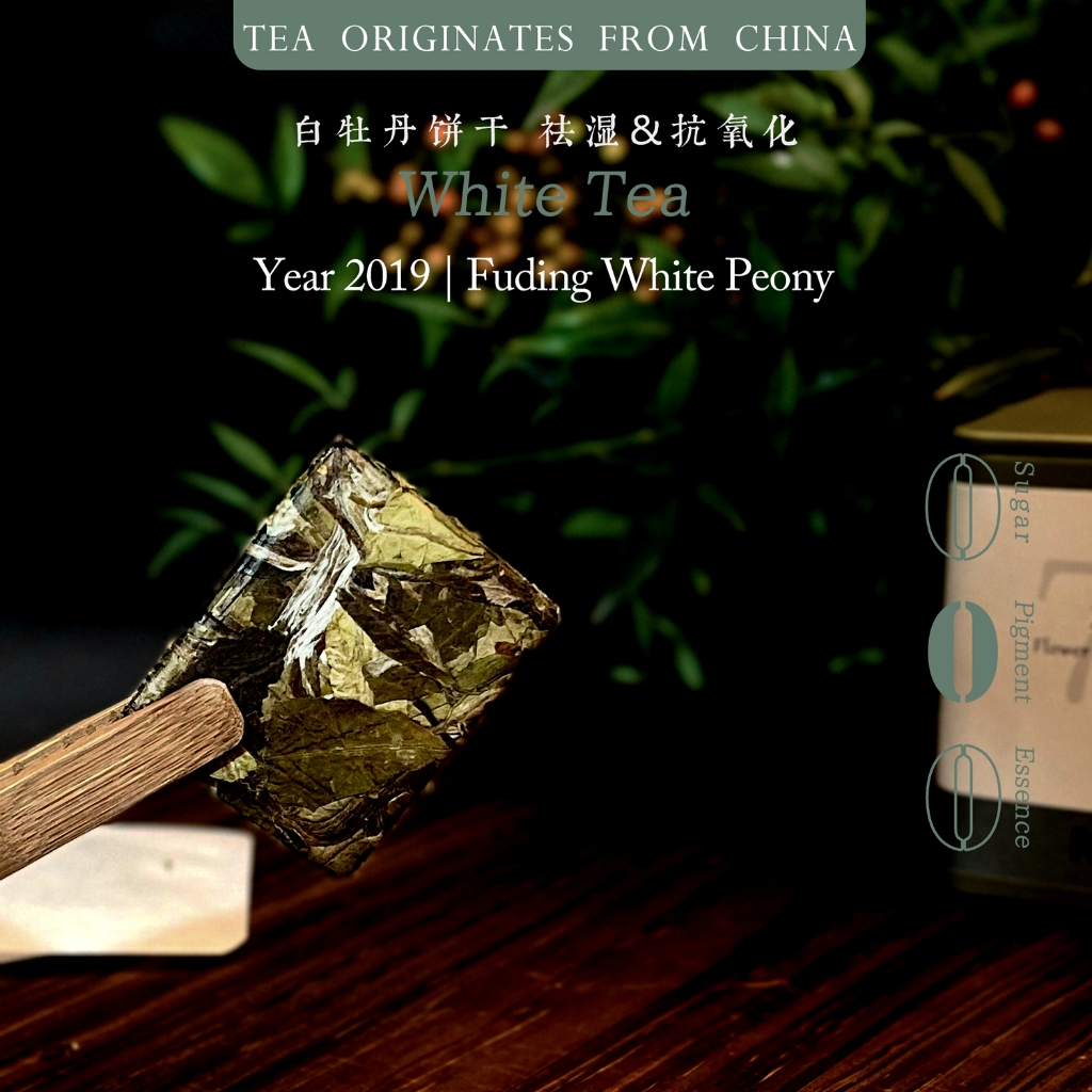 ชาขาว | No 712 ดอกไม้หอมเค้กชาดอกโบตั๋นสีขาวอายุ★ Old White Tea Good White Tea ออกอยู่ในดวงอาทิตย์ ❤