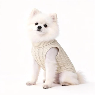 Chic Cozy เสื้อกันหนาวสัตว์เลี้ยงถักขี้เล่นสีลูกกวาดฤดูใบไม้ร่วงฤดูหนาวเสื้อผ้าที่อบอุ่นสําหรับสุนัขขนาดกลางขนาดเล็กแมว