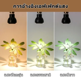 【TH การจัดส่ง】RHPOA E27/Gx53 หลอดไฟไม ่ มีหลอดไฟหลักสปอตไลท ์ หลอดไฟ LED