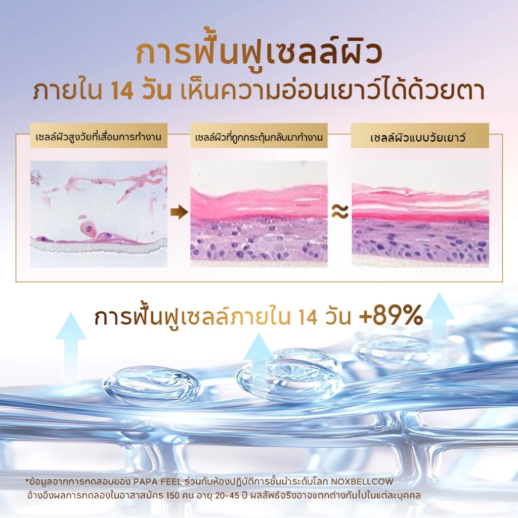 PAPA FEEL [FDA รับรอง] 12X เซ็ทสกินแคร์ระดับเซลล์ 4 ชิ้น CELLULAR BARRIER RECOVERY FIRMING CREAM 50g + MICRO-CAPSULE SERUM 30ml + MICRO-CAPSULE TONER 100ml + SOOTHING CLEANSER 100ml เหมาะสำหรับผิวมีริ้วรอย|เกราะผิวอ่อนแอ, เนื้อบางเบา ใช้ได้กับผิวแพ้ง่าย thumbnail 3