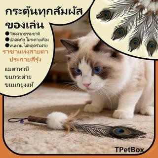 พร้อมส่ง! หัวไม้ฟาดแมวขนกระต่ายผสมแมวตะใคร้ ขนนกธรรมชาติแท้ไม่ย้อมสี ขนาดใหญ่พิเศษ ใช้แทนหัวเดิมได้ ของเล่นเสริมพัฒนาการสำหรับแมว นุ่ม ทนทาน