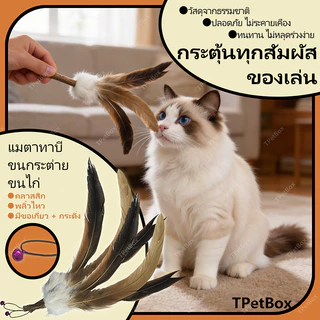 พร้อมส่ง! หัวไม้ฟาดแมวขนกระต่ายผสมแมวตะใคร้ ขนนกธรรมชาติแท้ไม่ย้อมสี ขนาดใหญ่พิเศษ ใช้แทนหัวเดิมได้ ของเล่นเสริมพัฒนาการสำหรับแมว นุ่ม ทนทาน