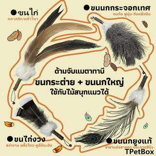 พร้อมส่ง! หัวไม้ฟาดแมวขนกระต่ายผสมแมวตะใคร้ ขนนกธรรมชาติแท้ไม่ย้อมสี ขนาดใหญ่พิเศษ ใช้แทนหัวเดิมได้ ของเล่นเสริมพัฒนาการสำหรับแมว นุ่ม ทนทาน