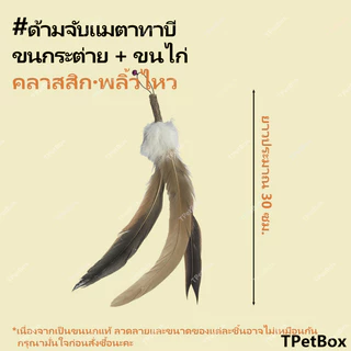 พร้อมส่ง! หัวไม้ฟาดแมวขนกระต่ายผสมแมวตะใคร้ ขนนกธรรมชาติแท้ไม่ย้อมสี ขนาดใหญ่พิเศษ ใช้แทนหัวเดิมได้ ของเล่นเสริมพัฒนาการสำหรับแมว นุ่ม ทนทาน