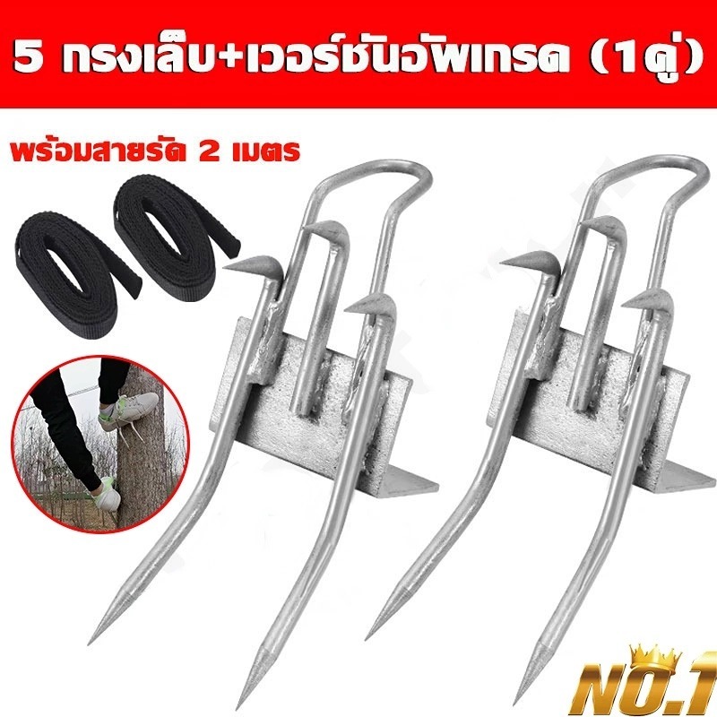 ที่ปีนต้นไม้ อุปกรณ์ปีนต้นไม้ รองเท้าปีนต้นไม้ เข็มขัด นิรภัย ปีนเสาช่วงที่ปรับได้