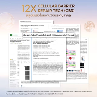 PAPA FEEL 12x CBR Cell Barrier ลดรอยแดง กระชับริ้วรอยเล็กๆ Serum 30ml ปรับสมดุลน้ำมันและความชุ่มชื้นของผิว