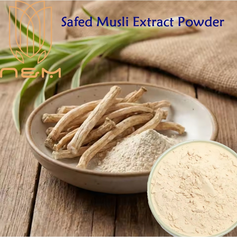 เอ็นแอนด์เอ็ม | Safed Musli Extract Powder - Boost Vitality & ช่วยเพิ่มสุขภาพ | รองรับพลังงานธรรมชาติสําหรับ Active Lifestyles | ไม่ใช่จีเอ็มโอ ปราศจากกลูเตน ฮาลาล โคซอร์
