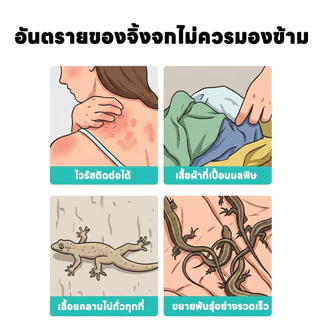 ✨ ✨ ยาฆ่าจิ้งจก ไล่จิ้งจก ยาฆ่าตุ๊กแก เขย่านิด กดหน่อย ตุ๊กแกตายเกลี้ยง ไล่ ยาไล่ ฆ่าตุ๊กแก