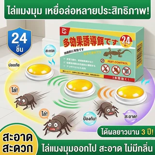 🕷️ไม่มีแมงมุมภายใน 10,000 เมตร 🕸️Max สเปรย์กำจัดแมงมุม ยาฉีดแมงมุม ไล่ กำจัดแมลงมุม ยาฆ่า สเปรย์ไล่ 1 กล่อง 24เม็ด