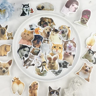 200 แผ่นน่ารักแมวสุนัขสัตว์เลี้ยงสติกเกอร์สร้างสรรค์ ทําเอง เคสโทรศัพท์ตกแต่ง/คอมพิวเตอร์แล็ปท็อป/กระเป๋าเดินทาง