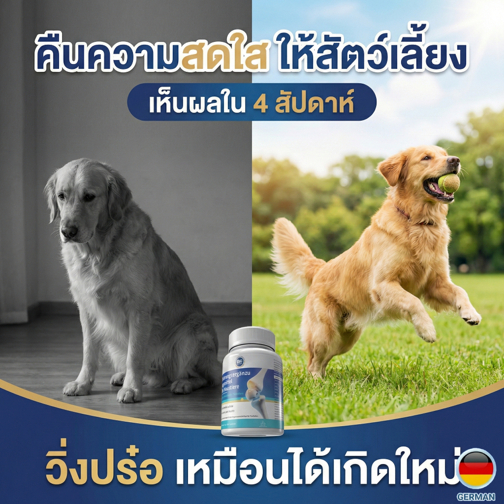 [สูตรเยอรมัน] อาหารเสริมบำรุงข้อสุนัขและแมว กระดูกอ่อนปลาฉลาม ผสมขมิ้นและ MSM ลดปวด แก้ขาอ่อนแรง