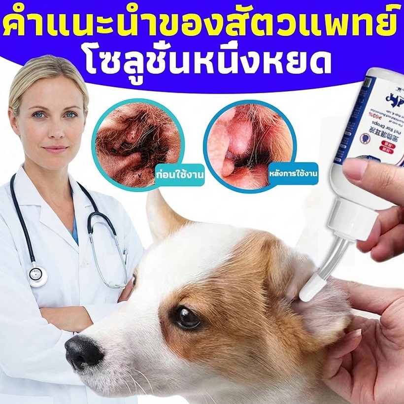 KINTO ทำความสะอาดหู ไรหู คันหู ขจัดขี้หู หูเหม็น หยอดหูหมา/แมว