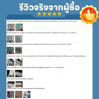 【นำเข้าจากญี่ปุ่น】อาทบ้านแมลงสาบ กำจัดแมลงสาบ กาวดักแมลงสาบจิ้งจก ฆ่า บ้านและดักจิ้งจก