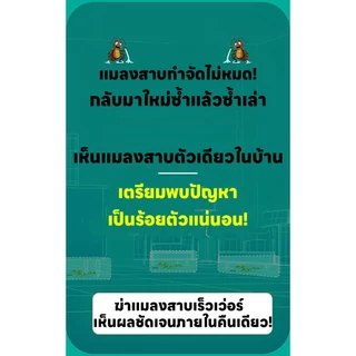 【นำเข้าจากญี่ปุ่น】อาทบ้านแมลงสาบ กำจัดแมลงสาบ กาวดักแมลงสาบจิ้งจก ฆ่า บ้านและดักจิ้งจก