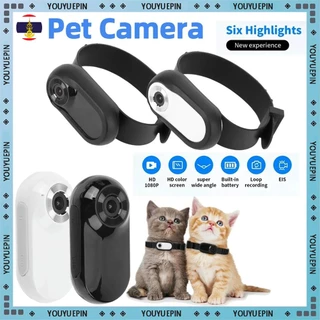 🚚ท้องถิ่น🚚 กล้องปลอกคอสัตว์เลี้ยง ไม่ต้องใช้ Wifi กล้องกีฬาขนาดเล็ก HD 1080P กล้องไร้สาย Choker ปลอกคอสุนัขติดตามพร้อมบันทึกวิดีโอ