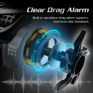 BEARKING RTBLUE FAIRY BIRD Baitcasting Reel Double Spool 7:1 อัตราทดเกียร์แม่เหล็กเบรค 5KG ลากสูงสุดตกปลา Reel