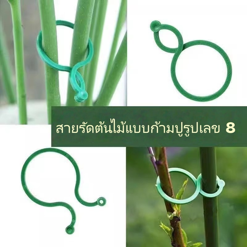อุปกรณ์รองรับหัวเข็มขัดคลิปเถาพลาสติก 300 ชิ้น, คลิปฟางก้านพืชสีเขียว, เครื่องมือทําสวนเรือนกระจก-คลิปยึดเถาวัลย์ผัก, กรอบรองรับพืชกลา