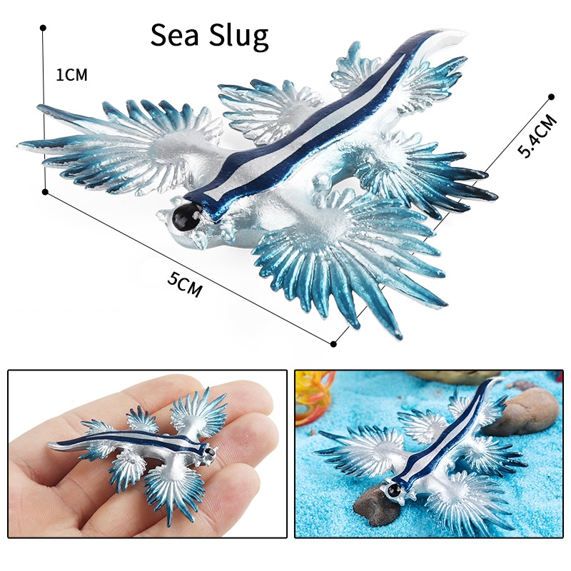 จําลองความรู้ความเข้าใจ Solid Atlantic Blue Dragon Mini Sea Slug Sea Snail ของเล่นสัตว์