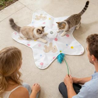 การเคลื่อนไหว เซ็นเซอร์ ของเล่นแมวของเล่นล่าสัตว์แบบโต้ตอบพร…