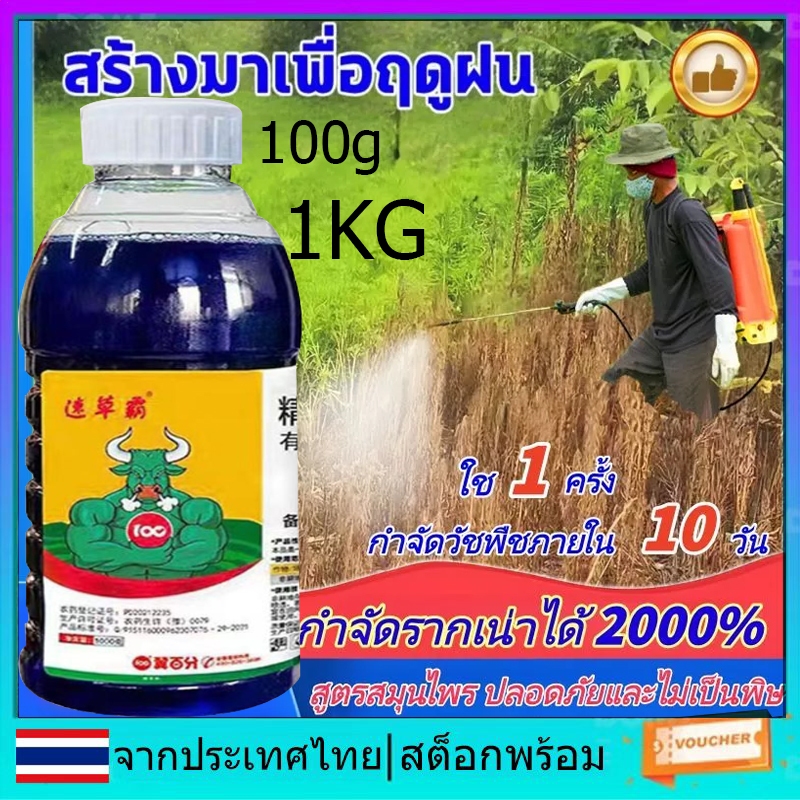 สารกําจัดวัชพืช กําจัดวัชพืช สาเหตุรากเน่าและตายราก สเปรย์กําจัดวัชพืช ยากําจัดวัชพืช กําจัดวัชพืชข้ามคืน ที่มีประสิทธิภาพกับหญ้าปู หญ้าห่าน หญ้าฮิวมิค หญ้าเบอร์มิวดา