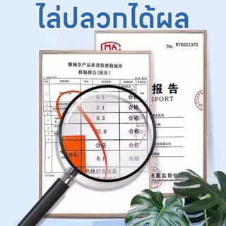 🐜กำจัดปลวกตายยกรัง🐜YA เหยื่อกำจัดปลวก เยื่อปลวกอาหารปลวก เหยื่อปลวก กำจัดมด กำจัดปลวก ยาฆ่ามด ได้ผล 100%