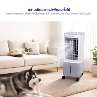 Kashiwa รุ่น AV-512 พัดลมไอเย็น ปรับแรงลม 3 ระดับ ฟรีคูลเจล 2 ชิ้น ความจุ 10 ลิตร กำลังไฟ 60 วัตต์ รับประกันศูนย์